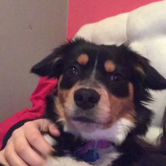 Meet your Posher, Megan - Picture 1 of 1